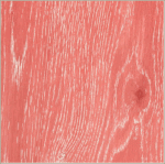 NOBILIS PAPIER BOIS COULEUR WALLPAPER